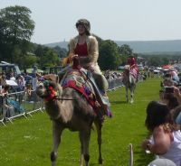 Todmorden Show - June 2019 (10)