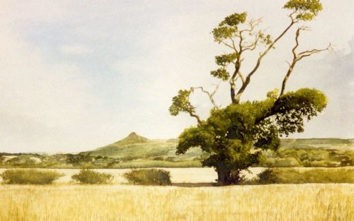 'Towards Roseberry Topping'