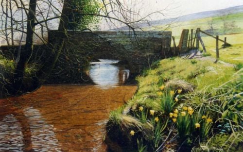 'Spring in Farndale.'