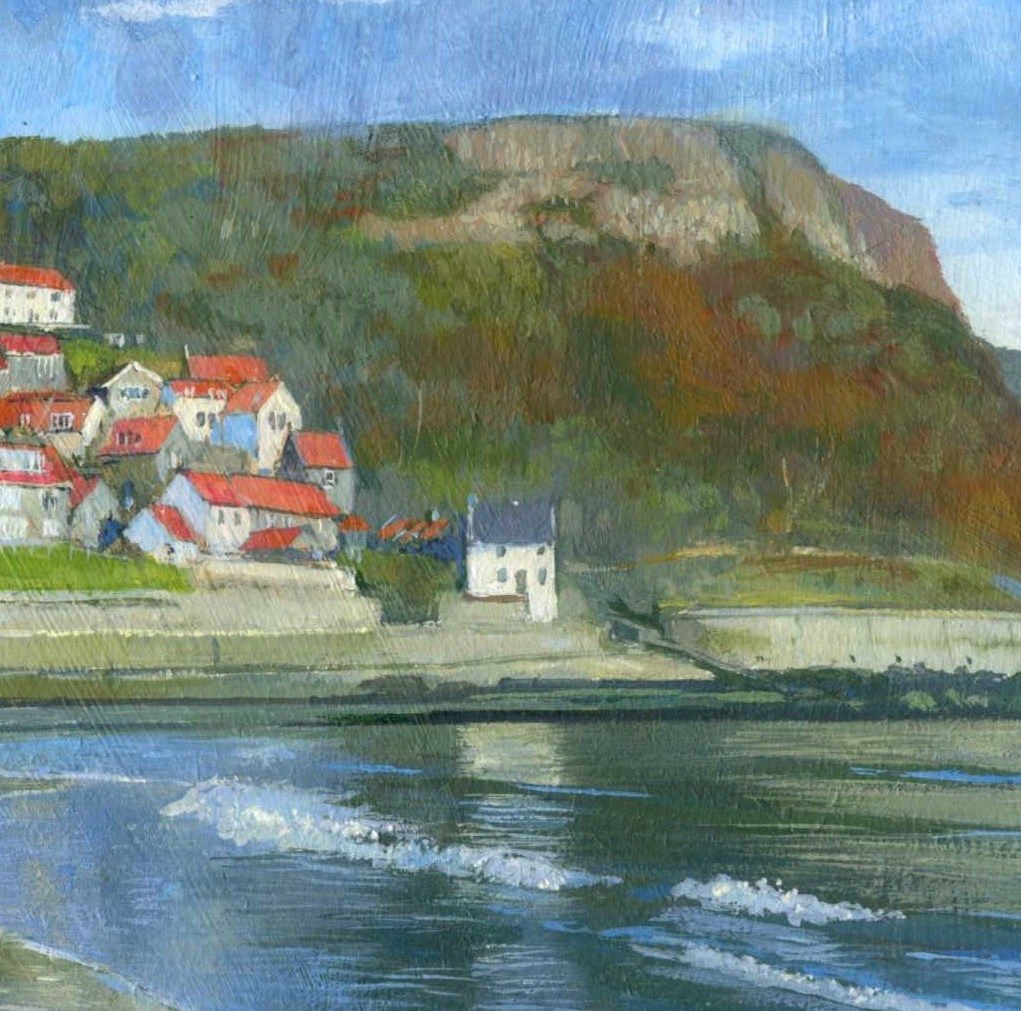 Runswick Bay008 detail 3