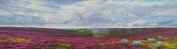 'Rosedale Heather' SOLD OUT