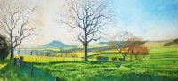 'Roseberry Topping From Dikes Lane.' SOLD OUT