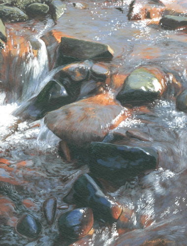 'River Esk, Westerdale #4'