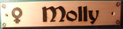 Wooden Horse Name Plates (with gender)
