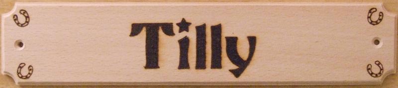 Horse name plate (tilly)