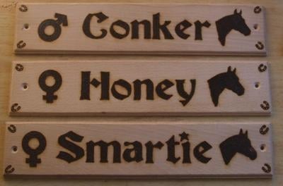 Wooden Horse Name Plates (with gender and picture1)
