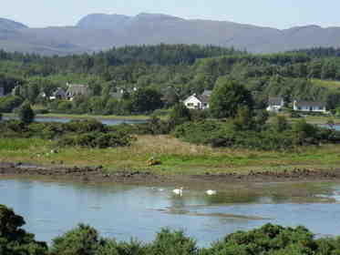 lochdon swans