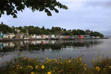 shaz stanley tobermory