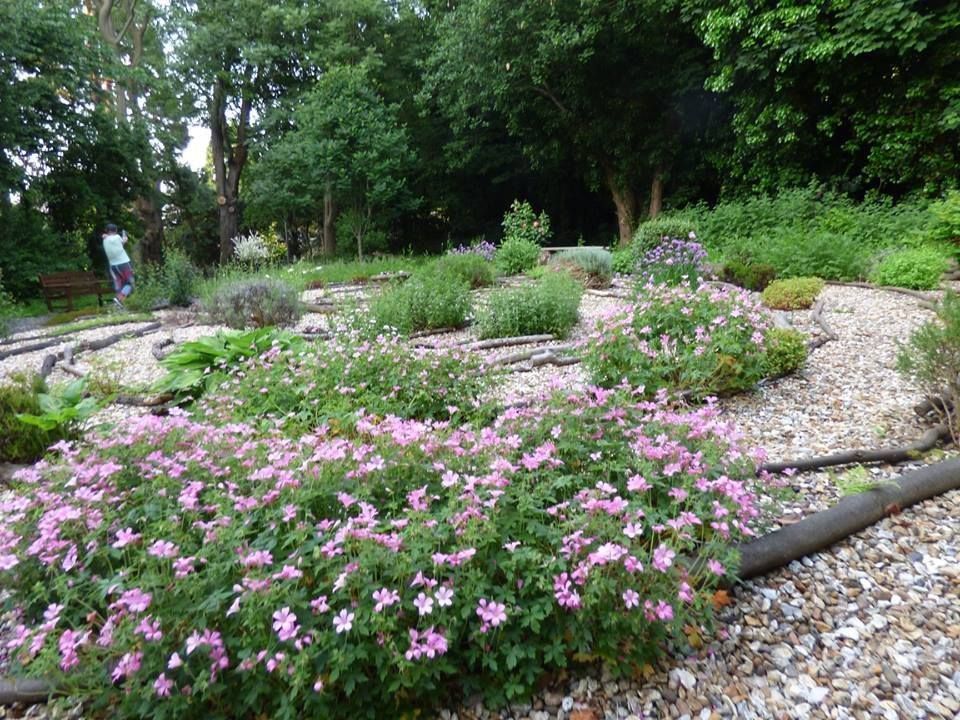 herb labyrinth