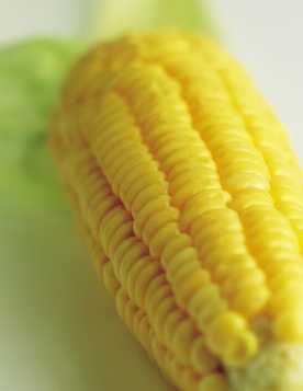 Corn