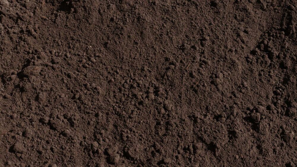 General Purpose Soil