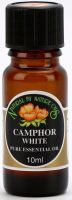 Camphor - Essential Oil 10ml
