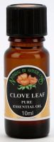 Clove Leaf - Essential Oil 10ml