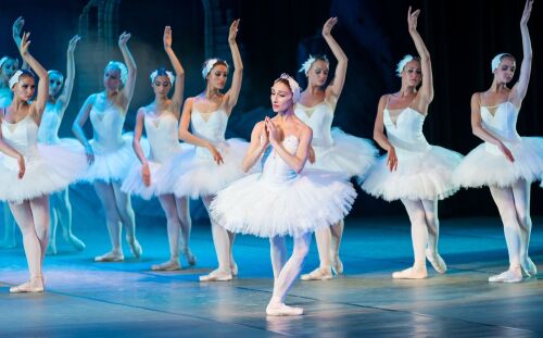Ballerina - Swan Lake Full Skirt Tutu HIRE