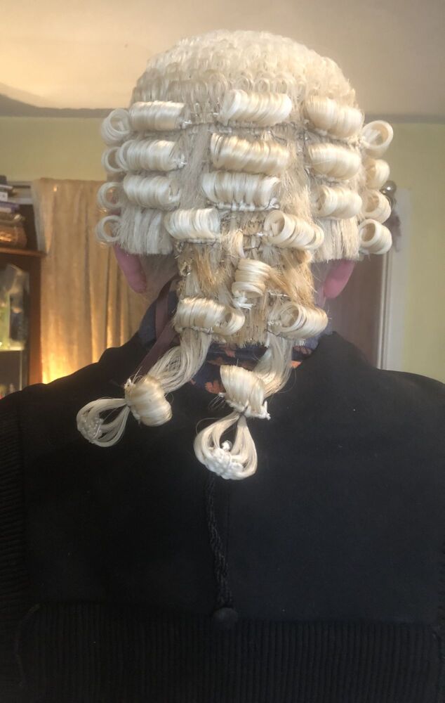 barrister wig back