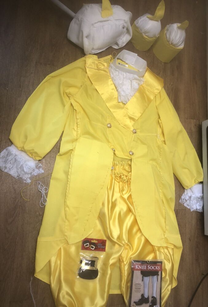 Lumiere costume made 10 pieces Lumiere costume made 10 pieces