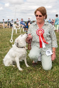 Best in Show 2015