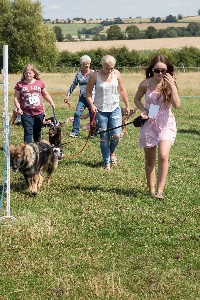 dog show entrants