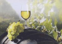 Wine