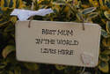  BEST MUM IN THE WORLD - wooden plaque