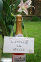 CHAMPAGNE is the ANSWER.. - Handmade humorous wooden plaque