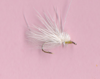 WILD FLY DEER SPIDER WHITE