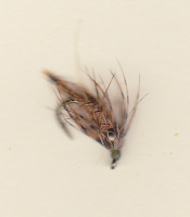 ALPINE STONEFLY NYMPH