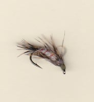 ALPINE MAYFLY NYMPH