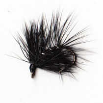 PALMERED BLACK SPIDER 14 PALMERED BLACK SPIDER 14