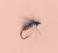 LD CADDIS LARVA