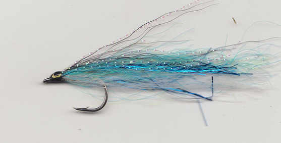 BLUE SHANKS