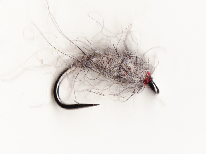 saltkillerbug saltkillerbug