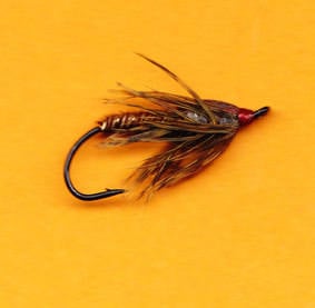 SALMON NYMPH