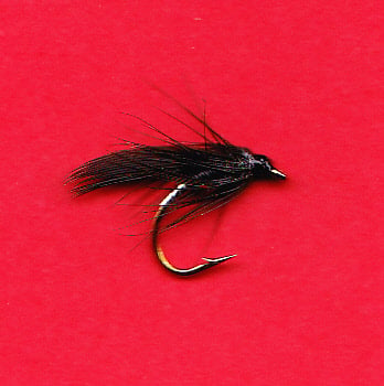 2014 magpie tail