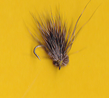 2014 deer caddis 2014 deer caddis