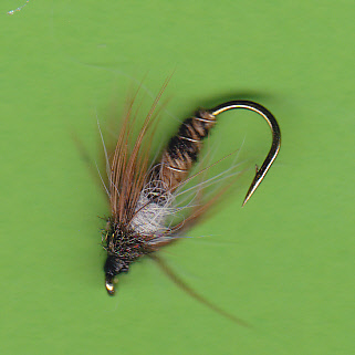 WEB LD CADDIS LARVA