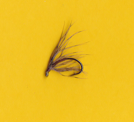 DARKNEEDLEFEB DARKNEEDLEFEB