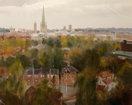 norwich-city-from-mousehold-heath