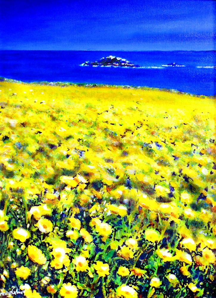 corn-marigolds-newquay-16-by-12