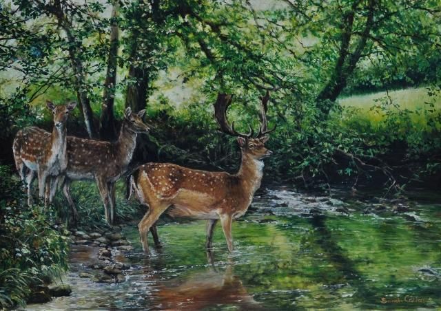 Fording the Stream oil on panel 14 x 20 , Fallow Deer