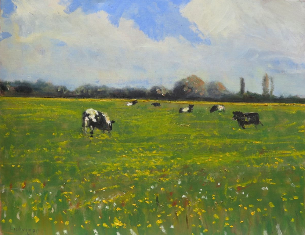 cow meadow