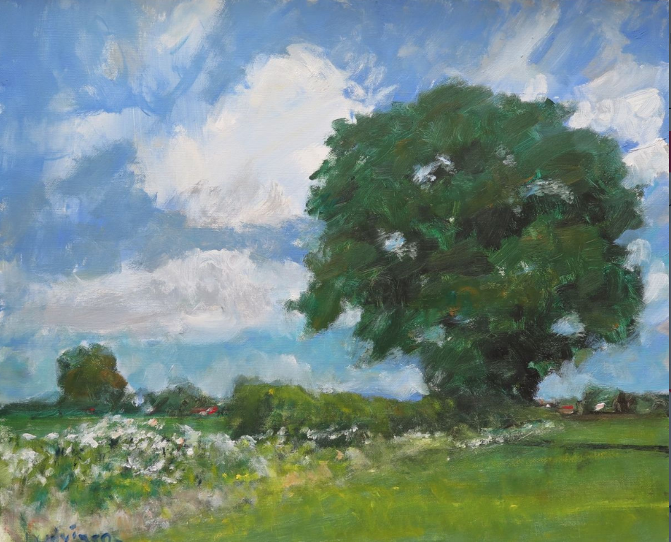 the oak tree