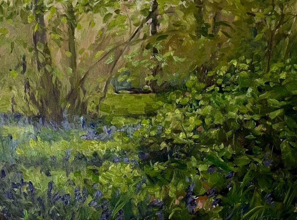 Sunlit+Bluebells