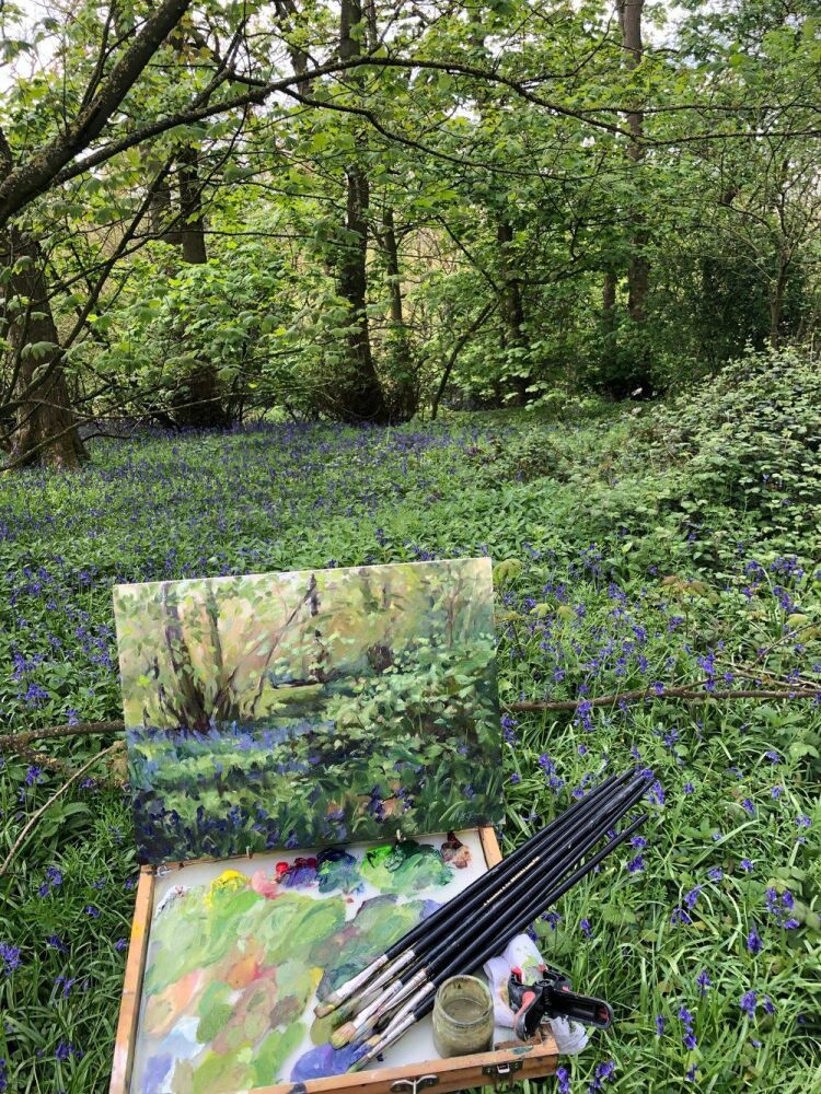 Sunlit+Bluebellskit+