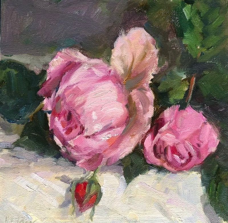 Raindrops+on+roses