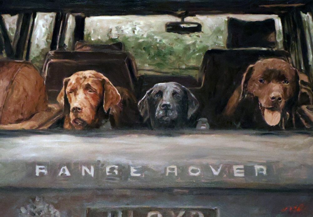 3dogszz