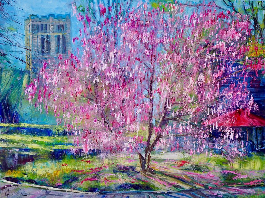 nc2304-036-chapelfield-magnolia-spring-blossoms-norwich-cathedral-60x80cm-o