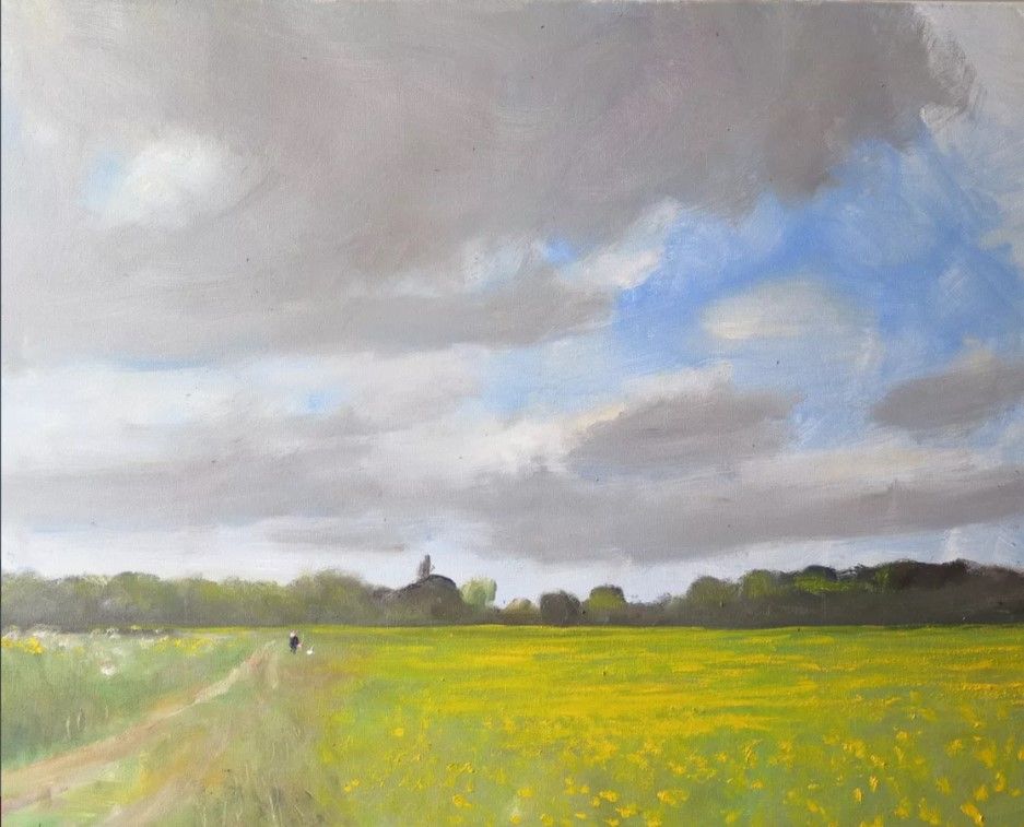 water meadow