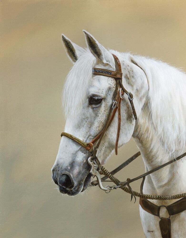 75eb5422-754d-41a6-bc06-0cfb63efbf91