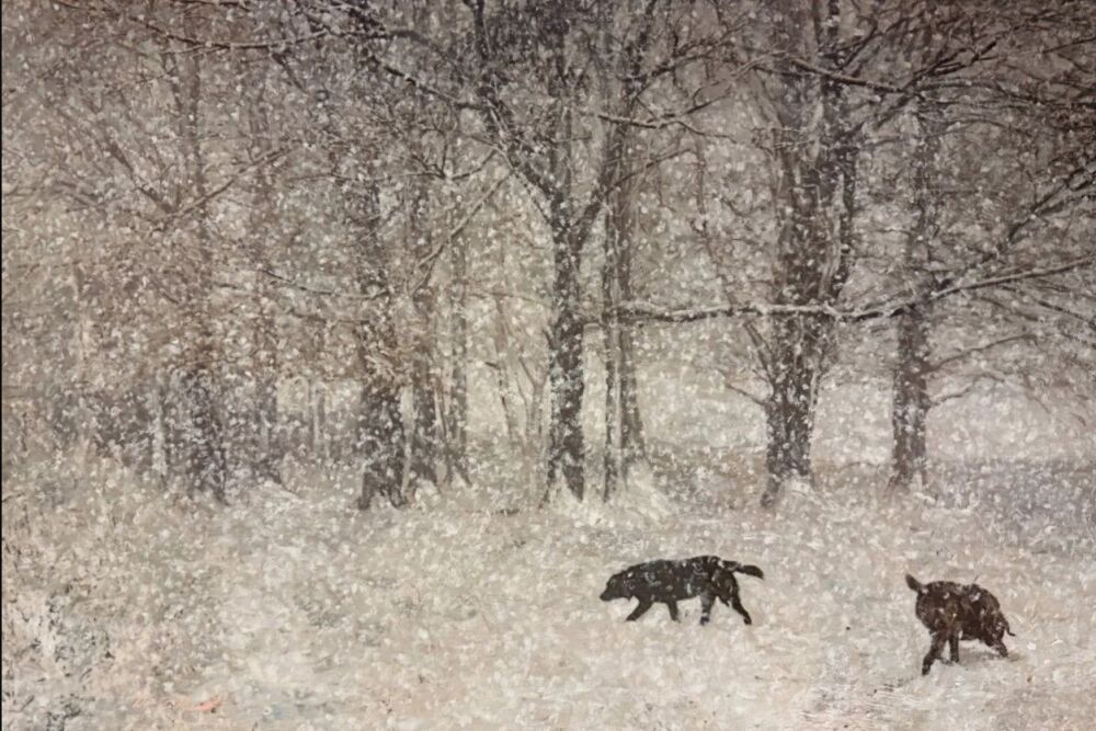 Screenshot 2025-11-29 114536